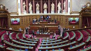 Violences à l’aveugle : la France en crise, les médias complices et l’État impuissant
