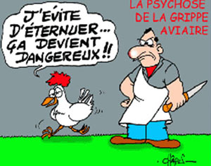 Grippe aviaire : mesures drastiques pour protéger la France face à une crise sanitaire inquiétante